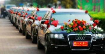 花车owl最新爆料 第1张 花车owl最新爆料 第1张